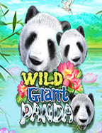 5 สูตร บา คา ร่า sa1688 ที่มือใหม่ต้องลอง เล่นง่าย สะใจ!